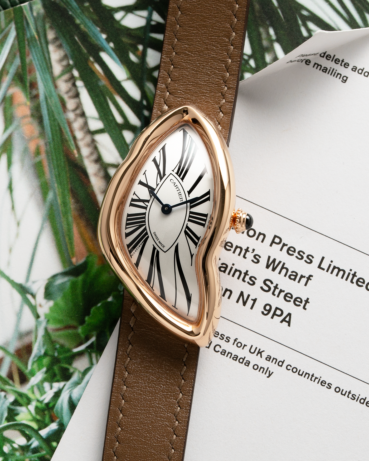 Cartier 2025 brand watch