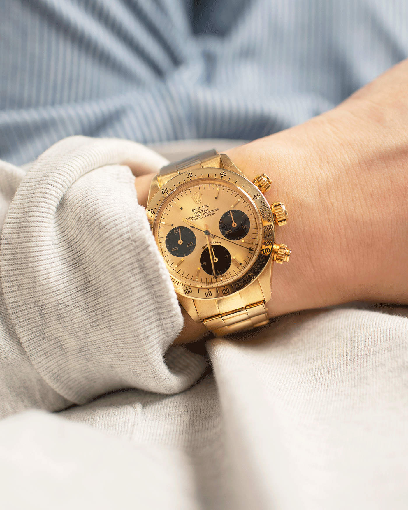 Rolex daytona discount bronze
